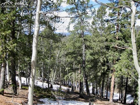 659 Paradiso Rd, Divide, CO 80814 photo 7