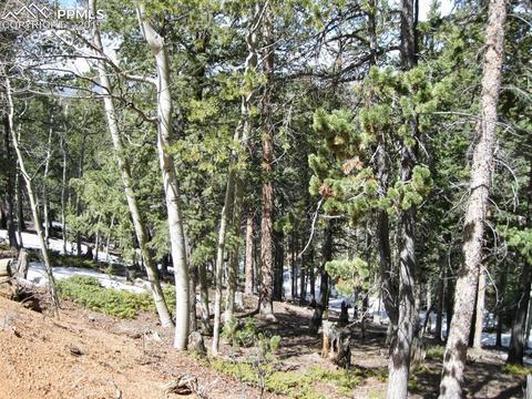 659 Paradiso Rd, Divide, CO 80814 photo 8