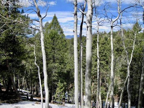 659 Paradiso Rd, Divide, CO 80814 photo 1