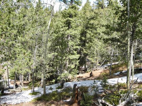 659 Paradiso Rd, Divide, CO 80814 photo 9