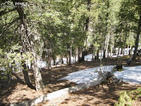 659 Paradiso Rd, Divide, CO 80814 photo 5