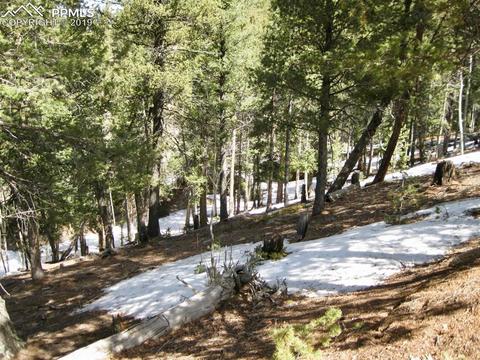 659 Paradiso Rd, Divide, CO 80814 photo 3