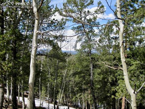 659 Paradiso Rd, Divide, CO 80814 photo 12