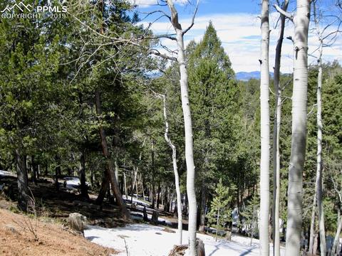 659 Paradiso Rd, Divide, CO 80814 photo 2