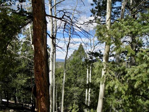 659 Paradiso Rd, Divide, CO 80814 photo 13