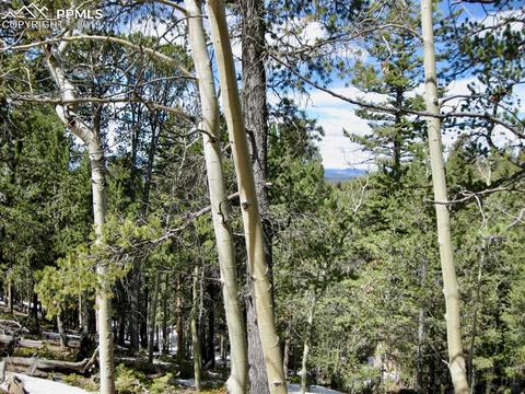 659 Paradiso Rd, Divide, CO 80814 photo 11