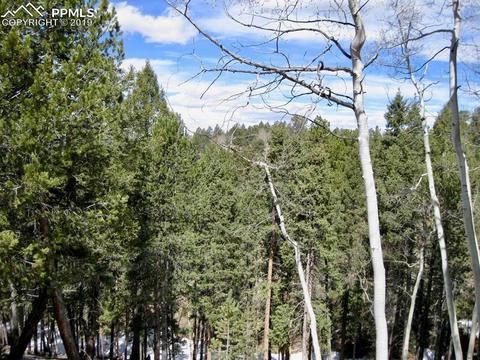 659 Paradiso Rd, Divide, CO 80814 photo 4