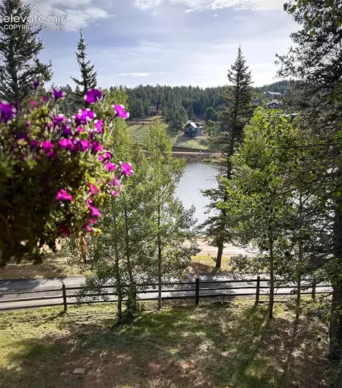View/Area - 1369 Spring Valley Dr, Divide, CO 80814 photo 3 of 8