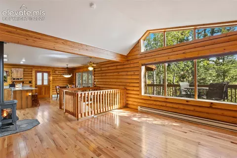 Living - 1369 Spring Valley Dr, Divide, CO 80814 photo 4 of 5