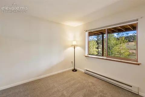 Bedroom - 1369 Spring Valley Dr, Divide, CO 80814 photo 4 of 4