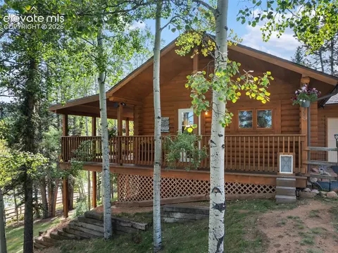 Exterior - 1369 Spring Valley Dr, Divide, CO 80814 photo 2 of 5