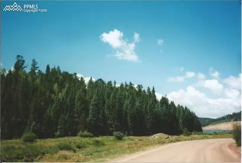 98 Deep Lake Dr, Divide, CO 80814 photo 2