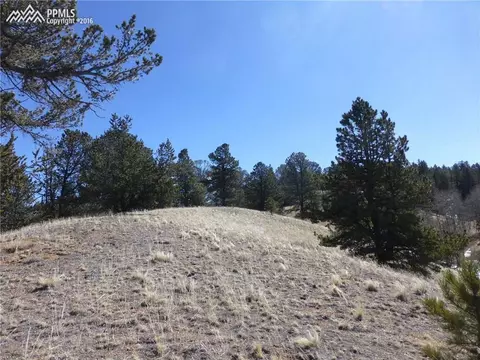 98 Deep Lake Dr, Divide, CO 80814 photo 1