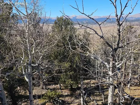 5585 Middle Fork Vis, Fairplay, CO 80440