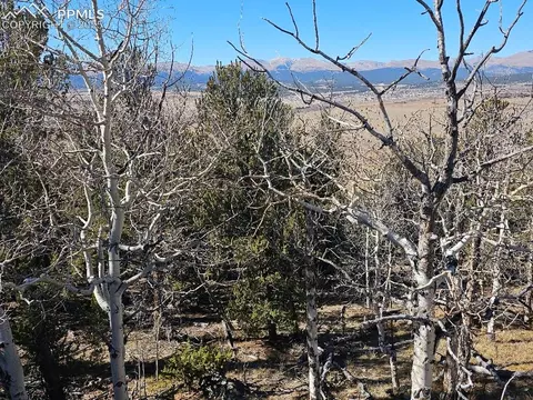 5585 Middle Fork Vis, Fairplay, CO 80440