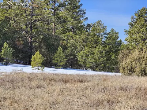1549 Owens Ln, Texas Creek, CO 81223
