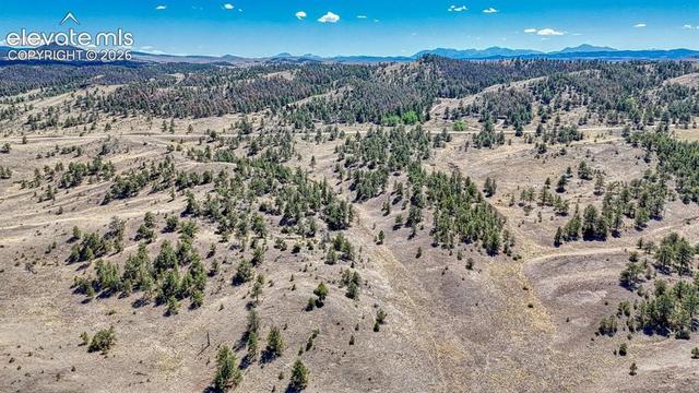 lot11 Highway 9, Hartsel, CO 80449
