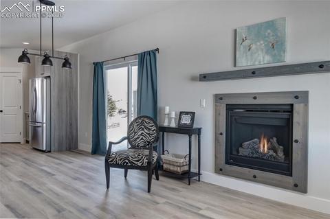 181 E Minstrel Dr, Divide, CO 80814 photo 4
