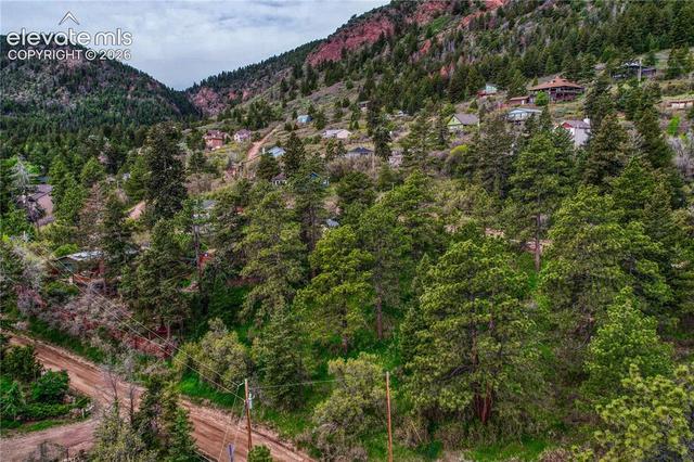 Virginia Avenue, Palmer Lake, CO 80133