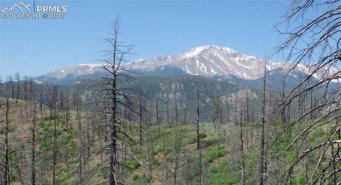 4129 Pyramid Mountain Rd, Cascade, CO 80809 photo 1