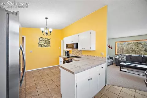7760 Marriott Rd, Cascade, CO 80809 photo 15