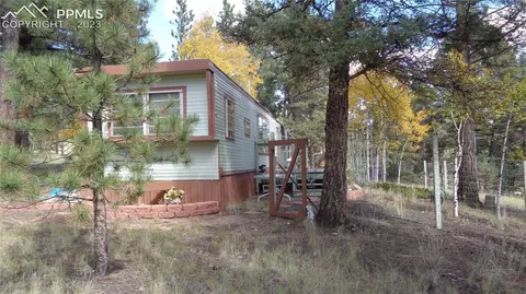 225 Bird Point Rd, Florissant, CO 80816