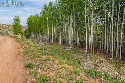 L1 B4 Columbine Circle, Woodland Park, CO 80863