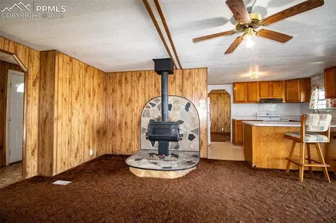 5280 E Blaney Rd, Peyton, CO 80831 photo 18