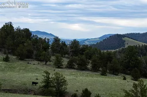 Highway 9, Guffey, CO 80820 photo 17
