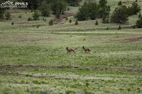 Highway 9, Guffey, CO 80820 photo 16