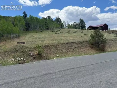 7142 County Road 92, Lake George, CO 80827