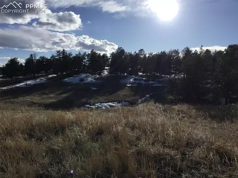 105 Surrey Rd, Florissant, CO 80816
