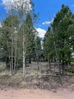 506 Castle Mountain Dr, Guffey, CO 80820