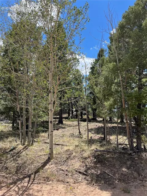 506 Castle Mountain Dr, Guffey, CO 80820