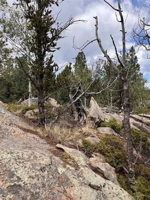 506 Castle Mountain Dr, Guffey, CO 80820