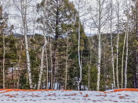 1181 Calcite Dr, Divide, CO 80814 photo 2