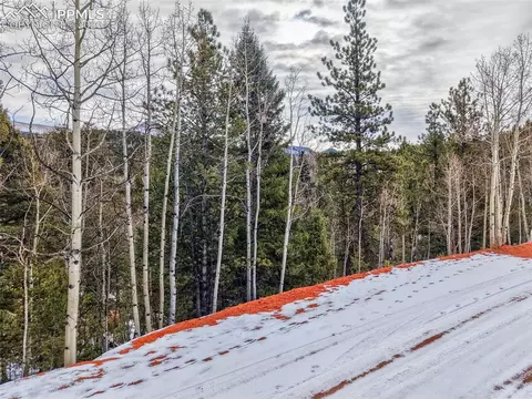 1181 Calcite Dr, Divide, CO 80814 photo 3