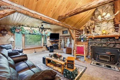 Living - 6001 Boulder Ave, Rye, CO 81069 photo 4 of 8