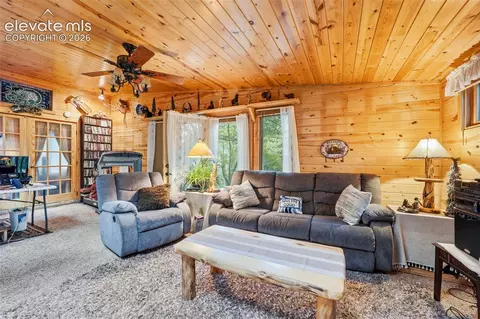Living - 6001 Boulder Ave, Rye, CO 81069 photo 6 of 8