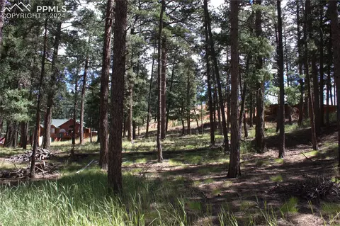 tbd N Walnut St, Woodland Park, CO 80863