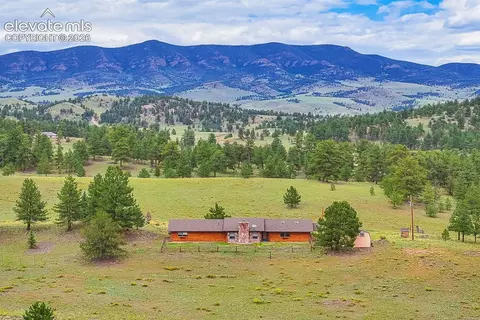 994 Deer Ln, Guffey, CO 80820