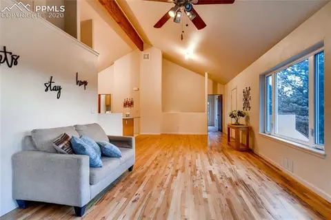 103 Lake Cir, Divide, CO 80814 photo 5
