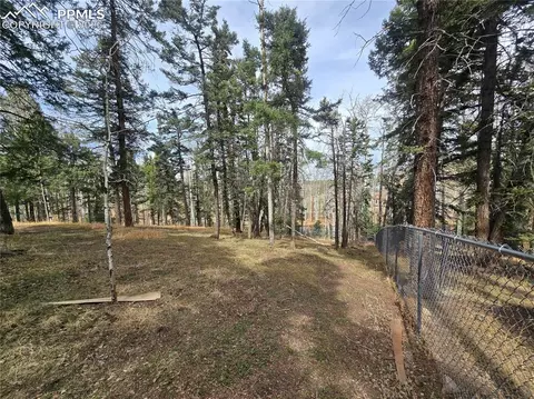 Exterior - 855 Will Stutley Dr, Divide, CO 80814 photo 4 of 4