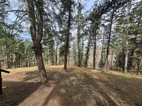 Exterior - 855 Will Stutley Dr, Divide, CO 80814 photo 2 of 3