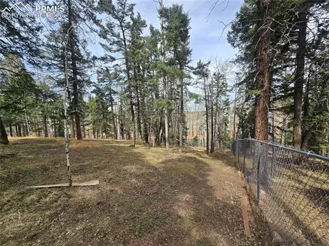 Exterior - 855 Will Stutley Dr, Divide, CO 80814 photo 3 of 3