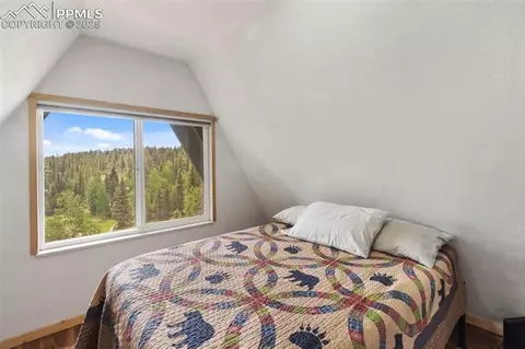 413 W Lake Dr, Divide, CO 80814 photo 23