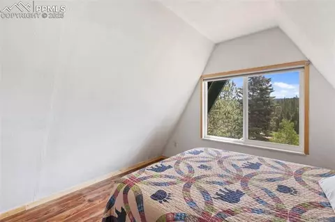 413 W Lake Dr, Divide, CO 80814 photo 24