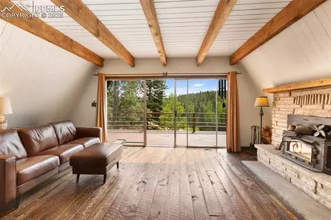 413 W Lake Dr, Divide, CO 80814 photo 9