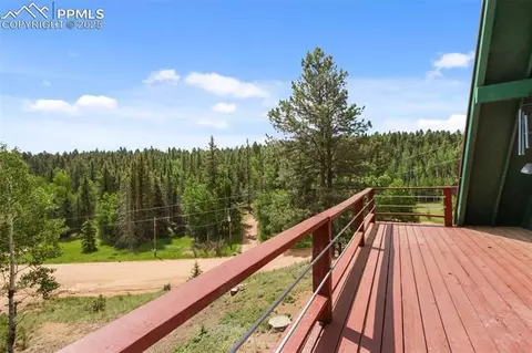 413 W Lake Dr, Divide, CO 80814 photo 29