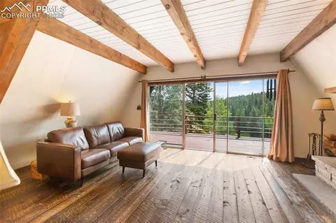 413 W Lake Dr, Divide, CO 80814 photo 4